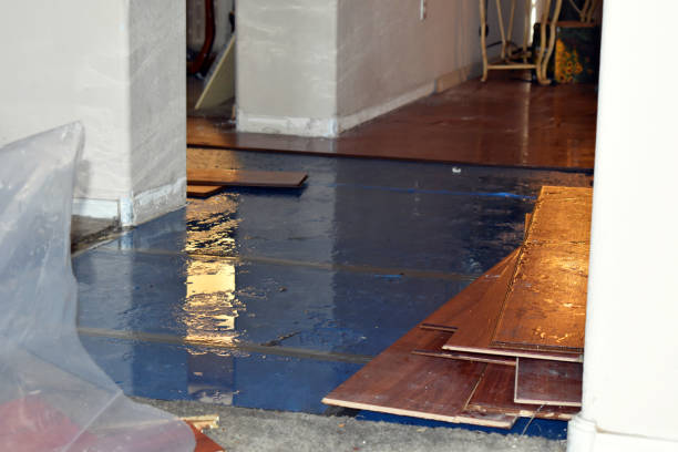 Professional Sewage Cleanup technician working in Leslie, MI
